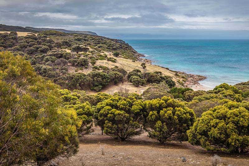 Sea Dragon Kangaroo Island Penneshaw Exteriér fotografie